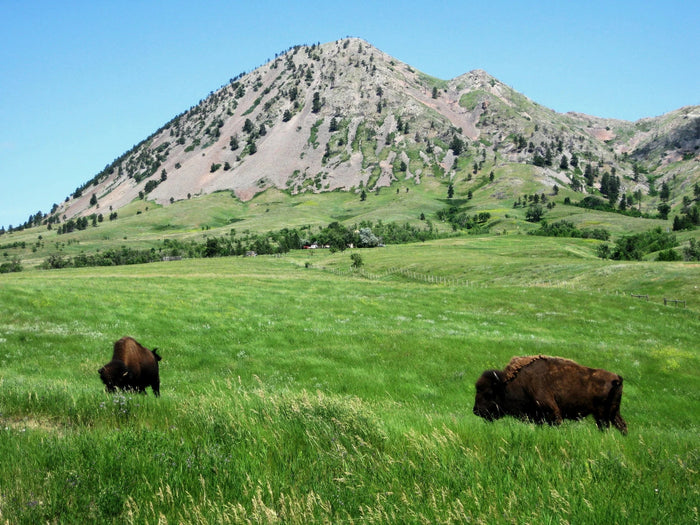 Top 10 Scenic Motorcycle Rides from Pappy Hoel Campground (Sturgis Rally Guide)