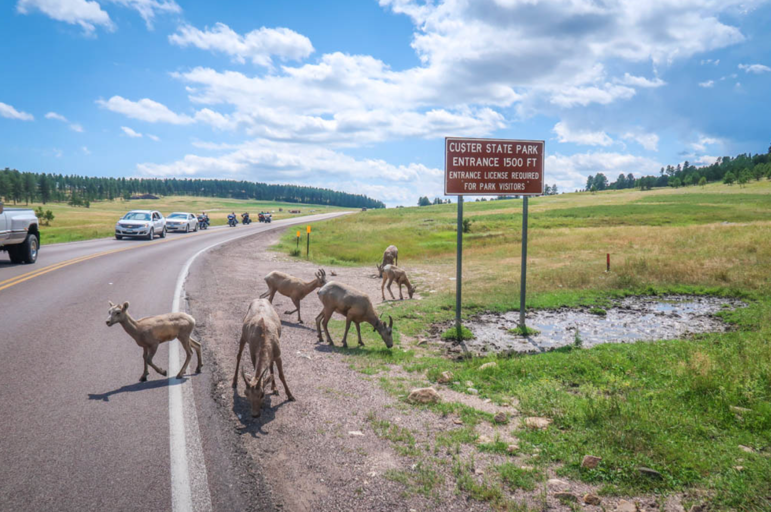 Custer State Park for Motorcycle Riders