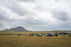Tent and Picnic Shelters 2026